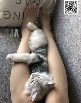 多人运动罗志祥5g视频网址_DVD动漫免费观看